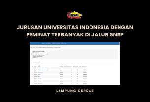 Jurusan Universitas Indonesia dengan Peminat Terbanyak di Jalur SNBP